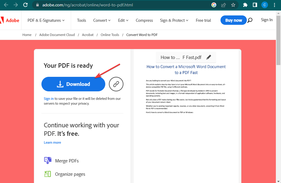 Download your ready PDF File